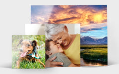 Metal Prints